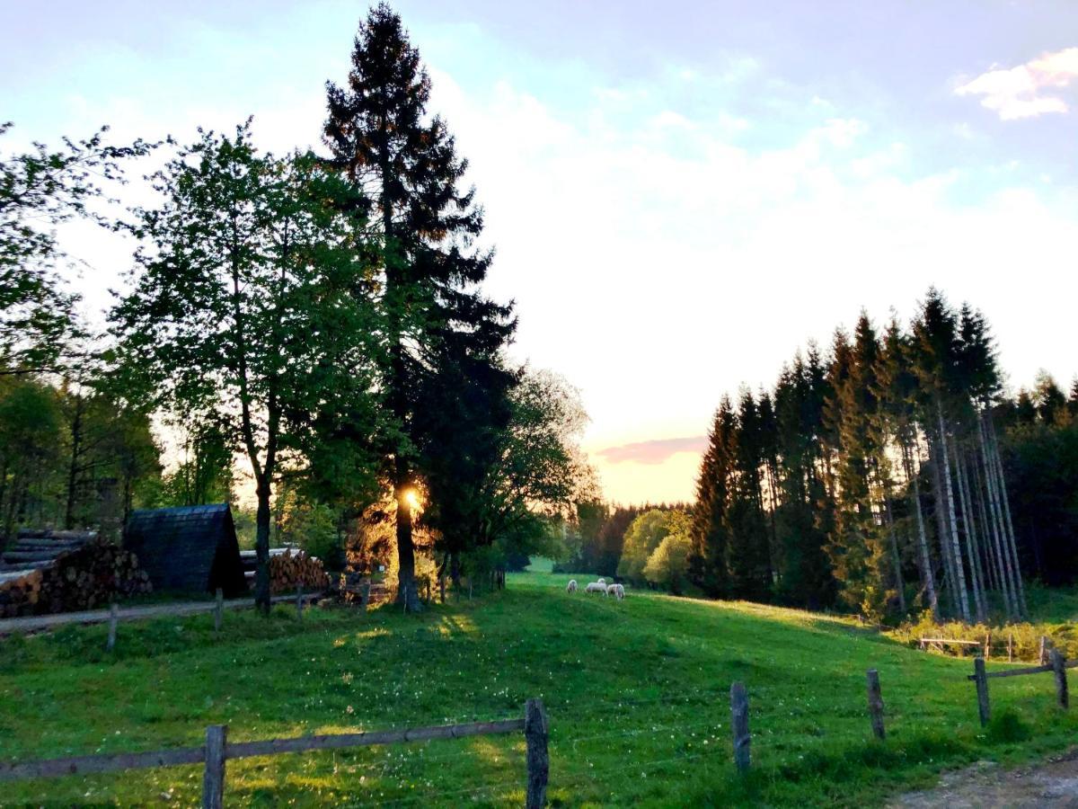 Hotel Zur Post Brilon Zewnętrze zdjęcie